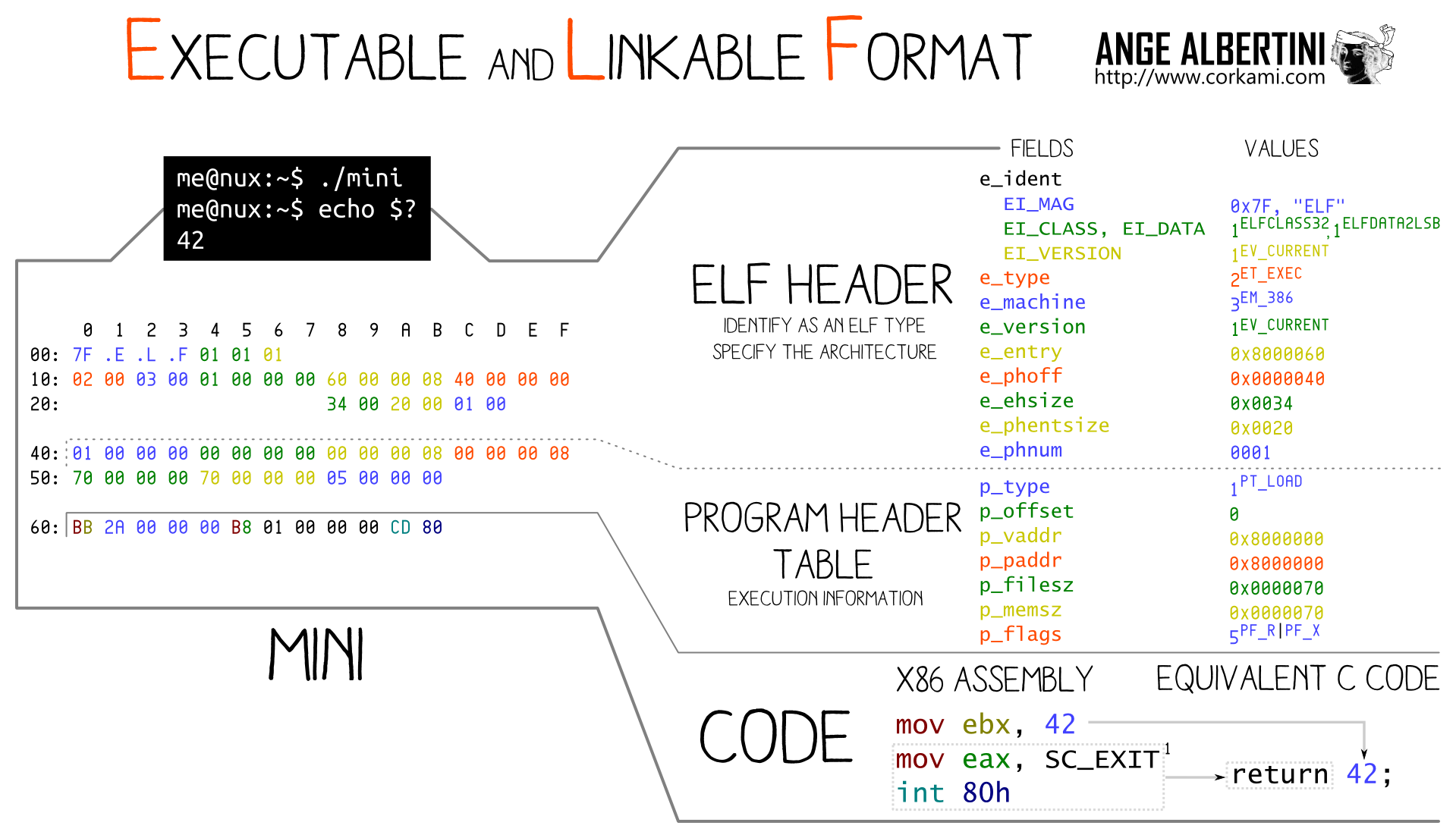 A representation of the ELF binary program format by Ange_Albertini.